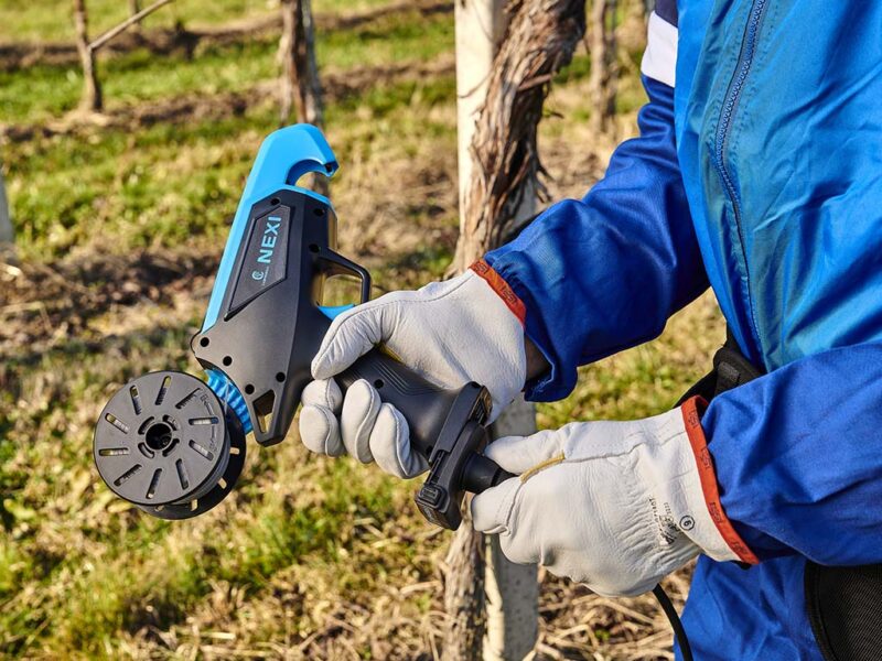 CAMPAGNOLA Cavo e fondina per batteria Plug-in