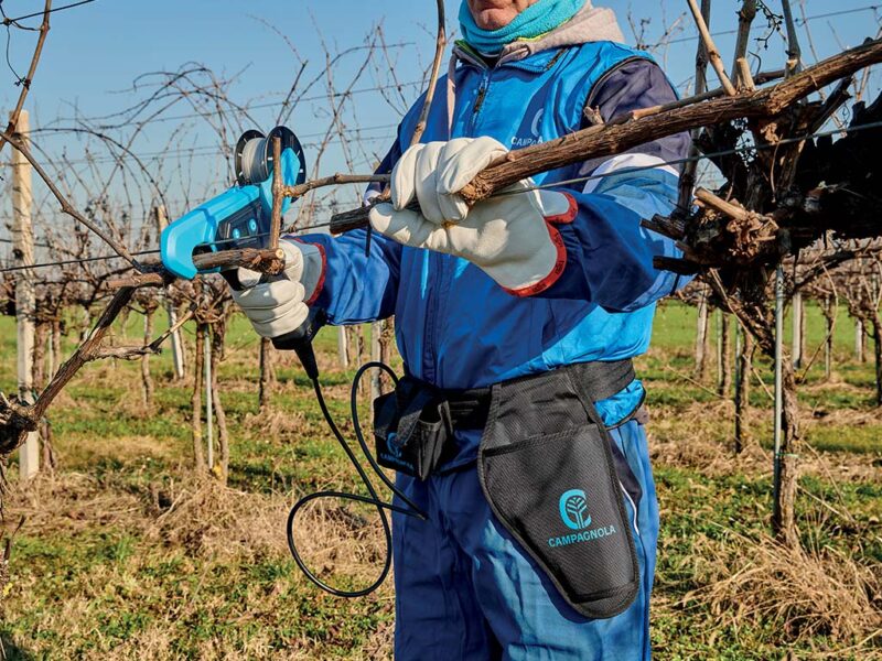 CAMPAGNOLA Cavo e fondina per batteria Plug-in