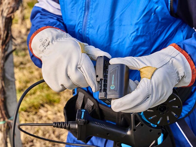 CAMPAGNOLA Cavo e fondina per batteria Plug-in