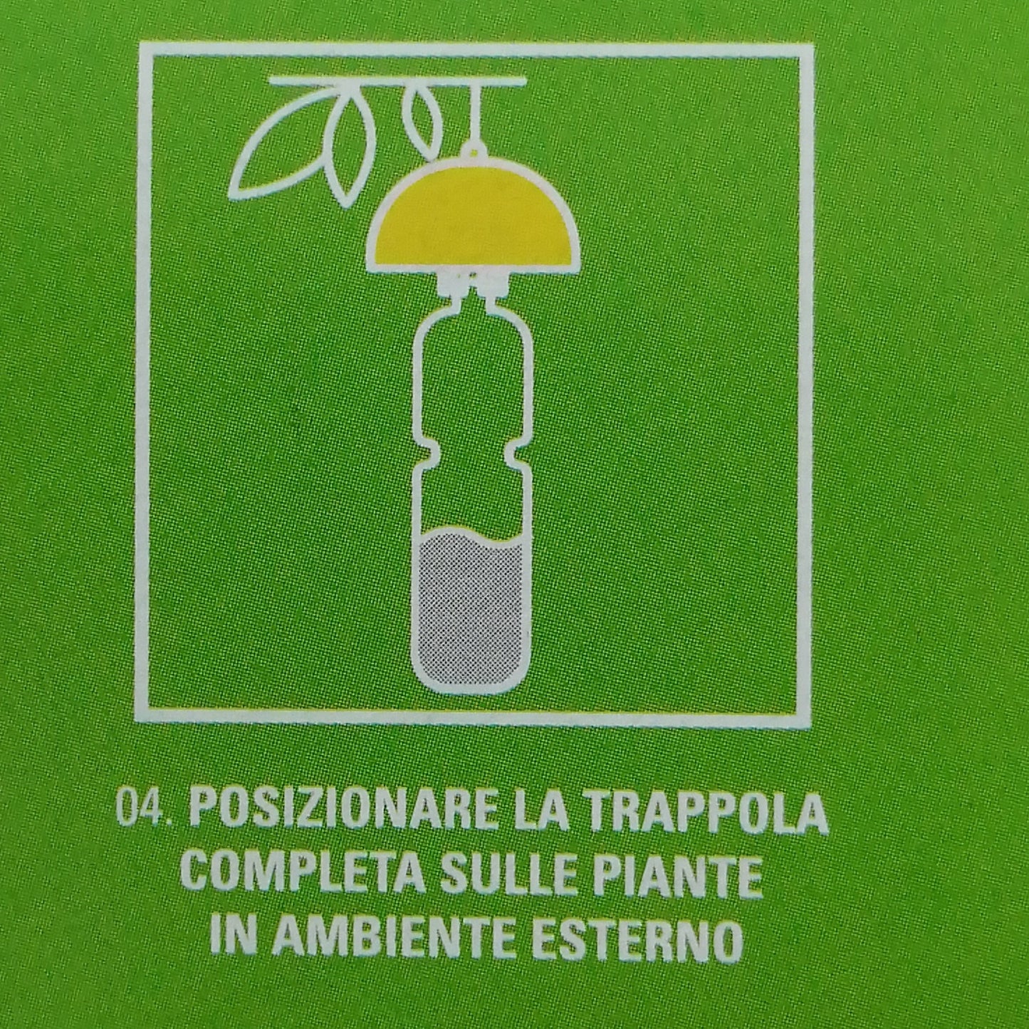 Vebi Cap Fly Trap trappola per insetti