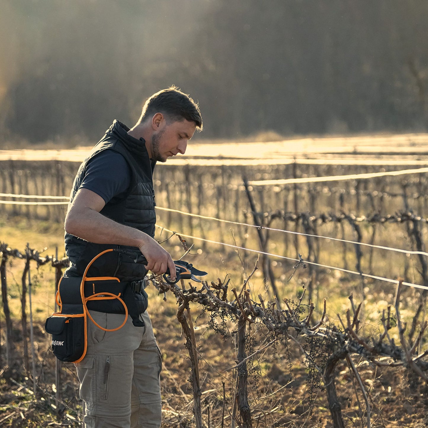 Pellenc C35 ULiB 250