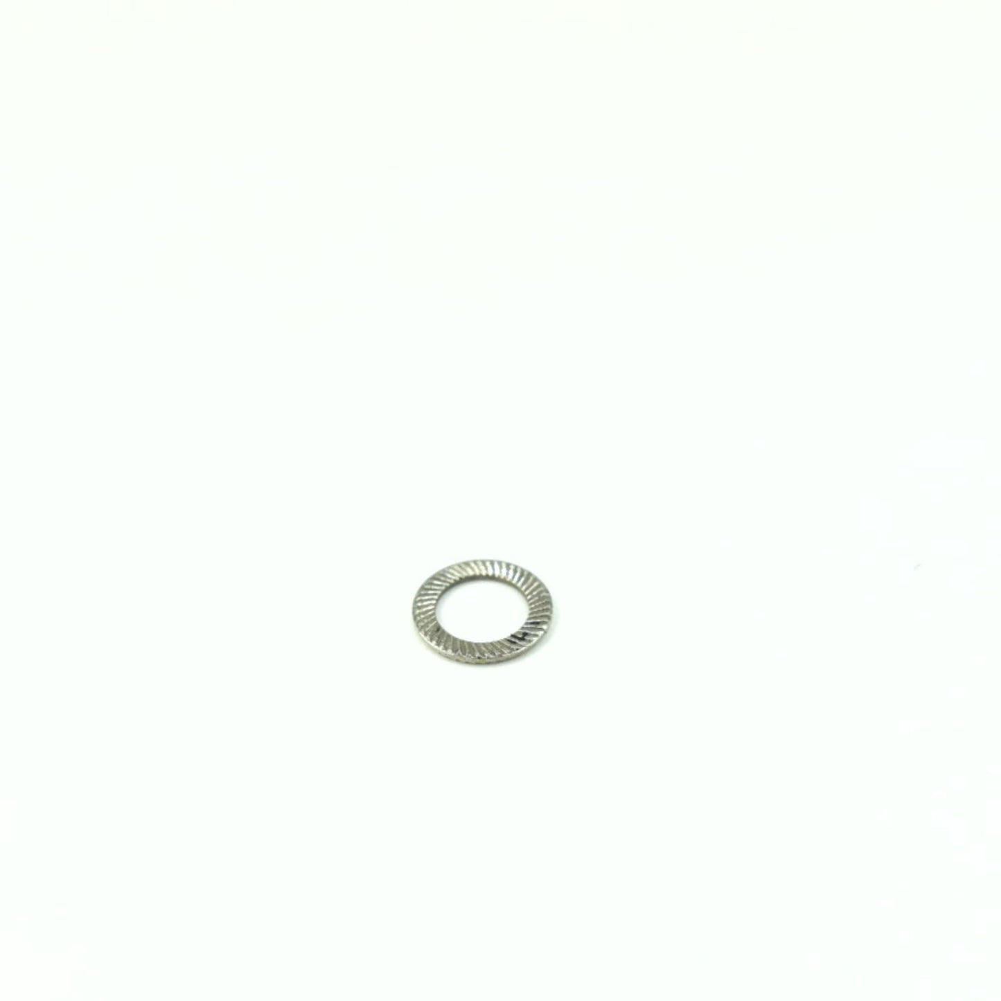 Rondella schnorr 6 (50pz) 01017