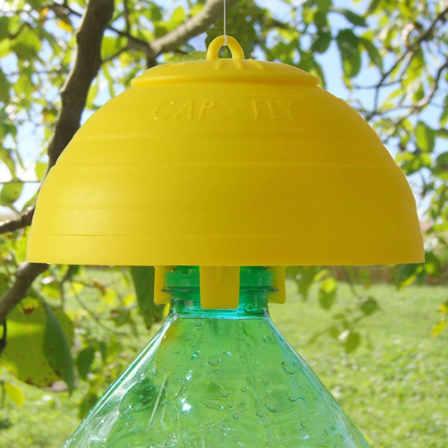 Vebi Cap Fly Trap trappola per insetti