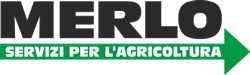 MerloServizi
