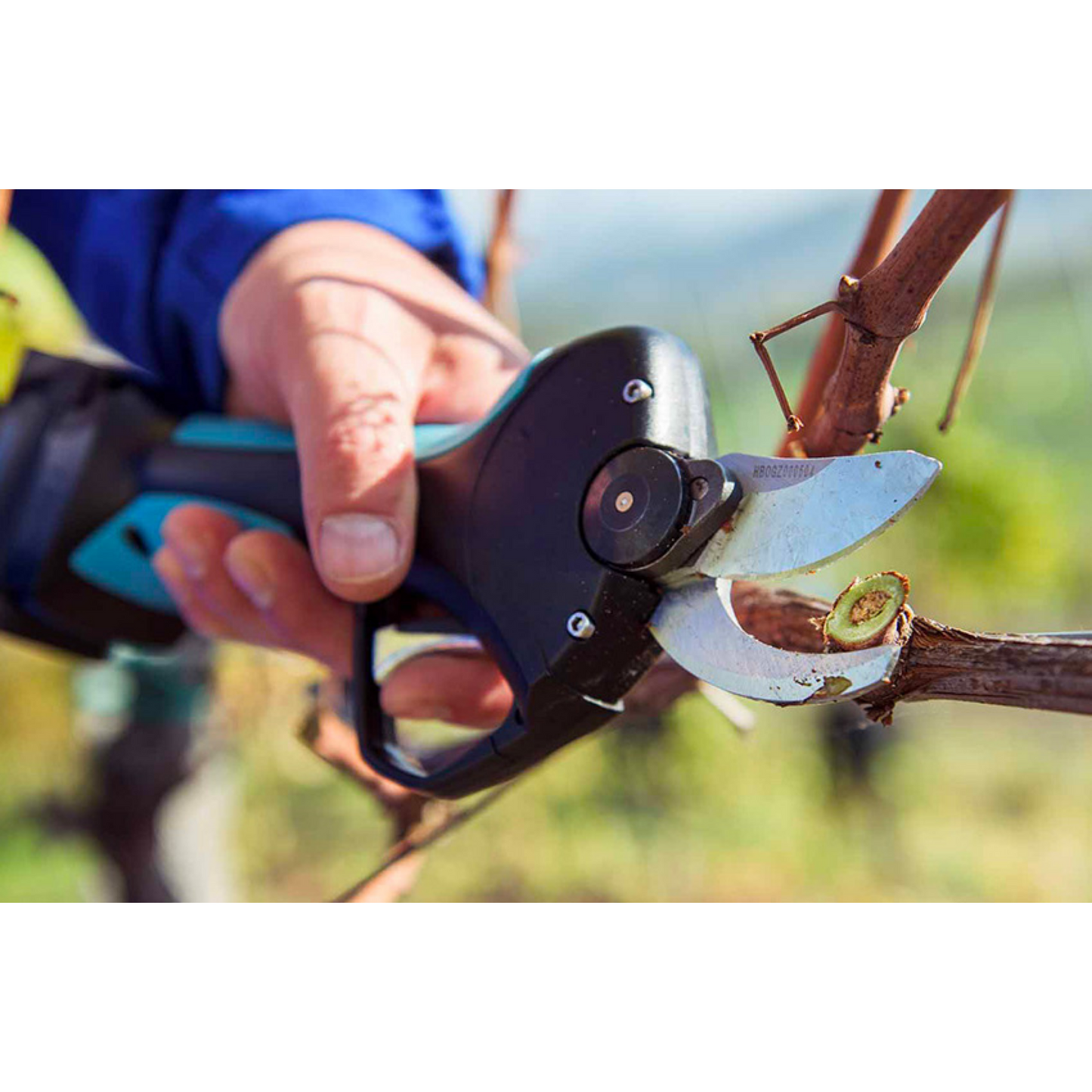 CAMPAGNOLA Forbice elettrica a batteria STARK M